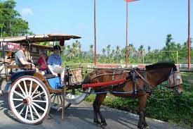 Indonesia Itu Kaya Dan Unik Alat Transportasi Tradisional Ini Menjadi Bukti Keunikan Indonesia Tokopedia Blog