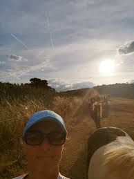 Islandpferde von der Hochalm