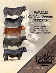 Grassroots Genetics Fall 2020 Directory By Limousin365 Issuu