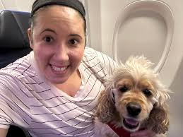 Seeking roommate in Pocahontas, Arkansas