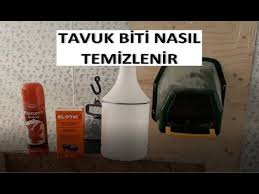 Blotic Tavuklarda Bit Ilaci Uygulamasi Youtube