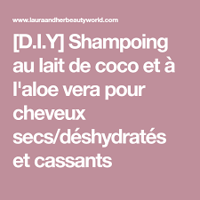 D I Y Shampoing Au Lait De Coco Et A L Aloe Vera Pour Cheveux Secs Deshydrates Et Cassants Diy Shampoo Natural Curly Hair Care Diy Hairstyles
