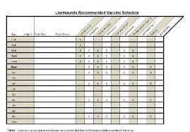 Socialisation is a term that is often used in dog training books, dog magazines and by breeders and trainers. Puppy Training Checklist