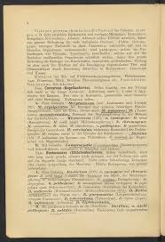 Image result for Leucas calamostachys