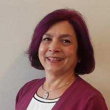 Class E-S (Non-Resident) Pharmacy Inspectors