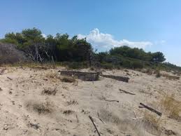 Selecciona un programa ahora en duna aire fresco antes que nada constituyentes coronavirus al día duna en punto duna jazz hablemos en off información privilegiada nada personal notables puro. Duna Della Sterpaia Picture Of Agriturismo Agricamping Isolotto Piombino Tripadvisor