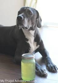 Homemade Dog Shampoo Recipe Homemade Dog Shampoo Dog Shampoo Recipe Dog Shampoo