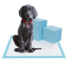 Free delivery and returns on ebay plus items for plus members. What Is The Attractant In Dog Pads