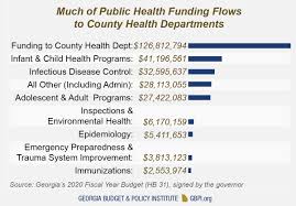 Georgia Health Care Budget Primer For State Fiscal Year 2020
