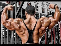 Roelly Winklaar S Back And Arms Training 2 Weeks From Chicago Pro Youtube Woelly winklaar triceps training for mass, is a beautiful video , where the mr biceps training his monster biceps. roelly winklaar s back and arms training 2 weeks from chicago pro