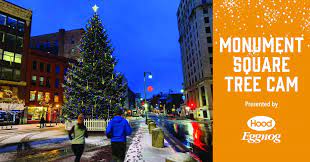 Looking up at the christmas tree in front of portland, maine's city hall. Light Up Your Holidays Portland Downtown