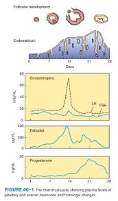 Image result for Third Generation Progestin