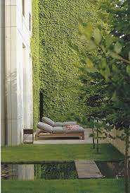 Maria S Garden Update Buitentuinen