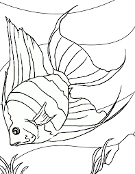 Fish are vertebrates that live in water. Free Printable Fish Coloring Pages For Kids