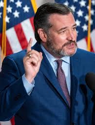 Great white shark migrates to Texas coast