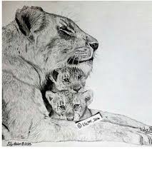 Line drawing tattoos tattoo design drawings abstract tattoo cat tattoo lion illustration designs to draw tattoo drawings animal drawings drawings. Female Lion Tattoo Drawing