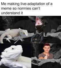 Maybe you would like to learn more about one of these? 29 Funny Toothless Memes That Ll Help You Train Your Dragon Funny Gallery