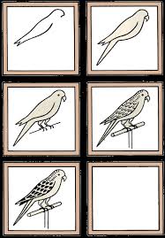 Because this is a prima budgie, it has a few fancy touches around its beak and eyes. How To Draw A Parakeet Purple Kitty
