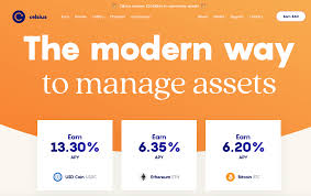 If there is a big upside there is also a deep downside. Top 5 Crypto Lending Platforms In 2021 Nebeus Youhodler Celsius Network Blockfi And Spectrocoin Cryptowisser Blog