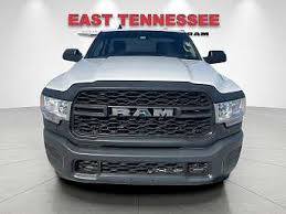 Image result for Power Tan 2020 Ram