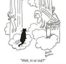 All Cats Go To Heaven Crazy Cats Cat Heaven Cat Comics
