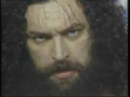 Bruiser Brody and Stan Hansen Wrestling Careers