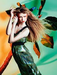 We go into peoples ordinary homes where some of the. Bird Of Paradise On Behance