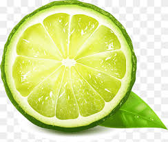 slice of lemons lemon green fruit seed fresh green lemon slice background food citrus color png pngwing slice of lemons lemon green fruit seed
