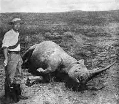 White hunter - Wikipedia