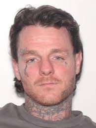 Sex Offenders near Discovery High School