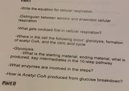 What are the reactants in the equation for cellular respiration? Solved Part Write The Equation For Cellular Respiration Chegg Com