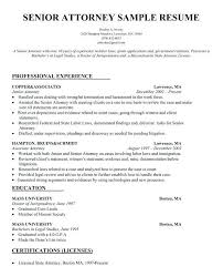 Litigation Attorney Resume | ophion.co