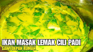 Ikan cencaru masak lemak cili api semasa pkp. Ikan Masak Lemak Cili Padi Sawi Depan Rumah Youtube