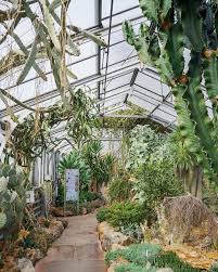 Sammlungen botanischer gärten in deutschland. Wilhelma Stuttgart Zoo Wilhelma Stuttgart Botanischer Garten Grunpflanzen