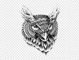 Contoh gambar sketsa hewan dari beragam jenis. Burung Hantu Tangan Dicat Burung Hantu Burung Hantu Kartun Hewan Png Pngwing
