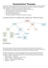 Connective tissue matrix coloring worksheet answers from connective tissue matrix worksheet, image source: What Is The Matrix In Connective Tissues Made Up Of