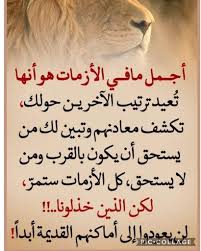 خواطر وحكم اعجبني citation arabes et reflexion soraya lina in 2021 wisdom calligraphy arabic calligraphy
