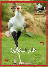 We did not find results for: Ø·Ø§Ø¦Ø± Ø§Ù„Ø³ÙƒØ±ØªÙŠØ±Ø©