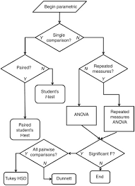 Based on a statistics flowchart produced by andy field. Statistical Analysis In Preclinical Biomedical Research Sciencedirect