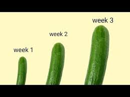 Pin On Health