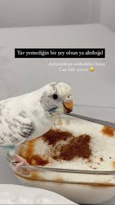 fake story