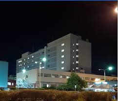 His dichromia is what makes it stand out. Patra O Korwnoios Xtypa Toys Giatroys Neo Kroysma Ston G N Patrwn Ag Andreas