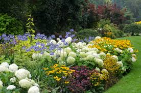 Check spelling or type a new query. Tips For Growing Flowers In Your Garden Blog At Thompson Morgan