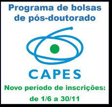 Camisa alemanha i 2020/21 equipe: Programa De Bolsas De Pos Doutorando Na Alemanha Abre Selecao Pro Reitoria De Graduacao Unicamp