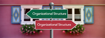 choosing an organizational structure organizational