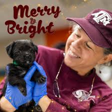 The Texas A&M Veterinary Emergency Team wishes you and your loved ones a  wonderful, safe, and relaxing holiday season! As we enter this gift-giving  season, the VET is especially grateful for our