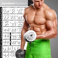 Dumbbell Workout Exercise Poster Strength Training Chart