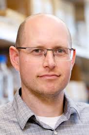 Research team discovers drug compound that stops cancer cells from  spreading