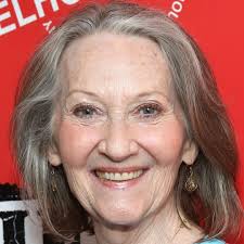 Watch The Flight Attendant