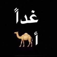 بروفايل فيس بوك واتس اب وانستقرام وتويتر فوتوجرافر funny picture quotes fun quotes funny quotes for book lovers